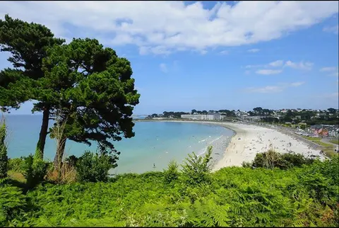 Photo de l'offre