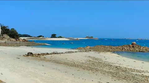 Photo de l'offre